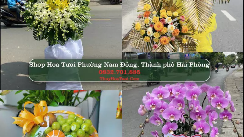 Shop Hoa Tươi Phường Nam Đồng - Thành phố Hải Phòng