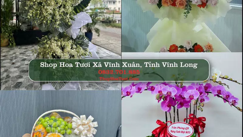 Shop Hoa Tươi Xã Vĩnh Xuân - Tỉnh Vĩnh Long