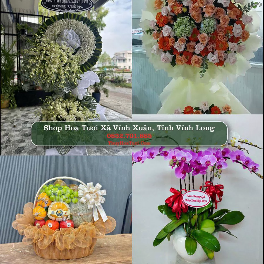 Shop Hoa Tươi Xã Vĩnh Xuân - Tỉnh Vĩnh Long