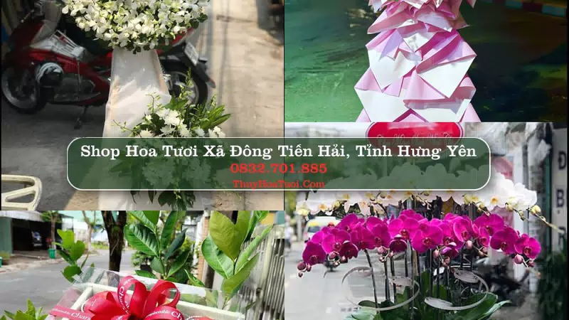 Shop Hoa Tươi Xã Đông Tiền Hải - Tỉnh Hưng Yên
