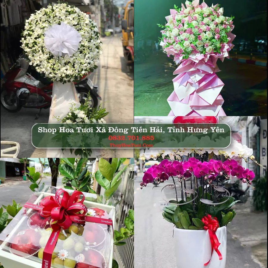 Shop Hoa Tươi Xã Đông Tiền Hải - Tỉnh Hưng Yên