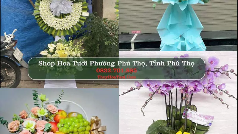 Shop Hoa Tươi Phường Phú Thọ - Tỉnh Phú Thọ