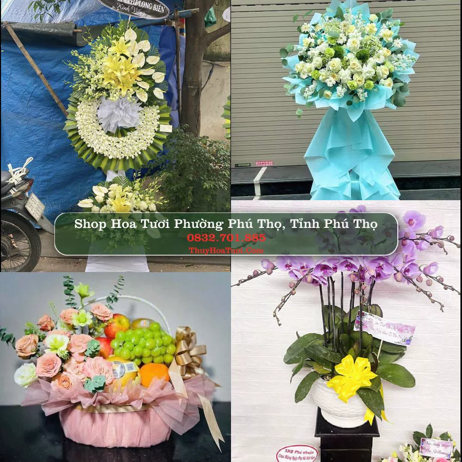 Shop Hoa Tươi Phường Phú Thọ - Tỉnh Phú Thọ