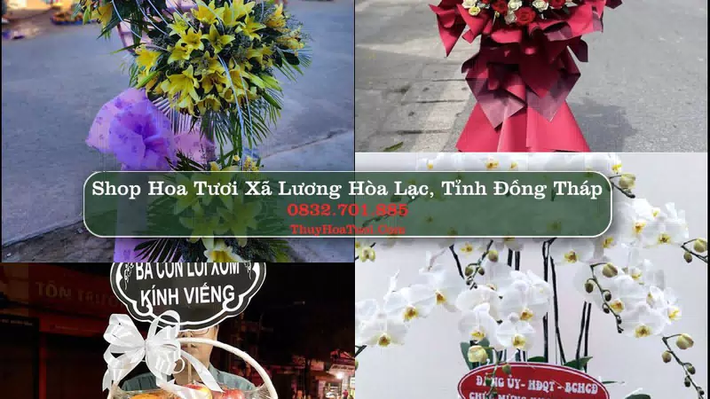 Shop Hoa Tươi Xã Lương Hòa Lạc - Tỉnh Đồng Tháp