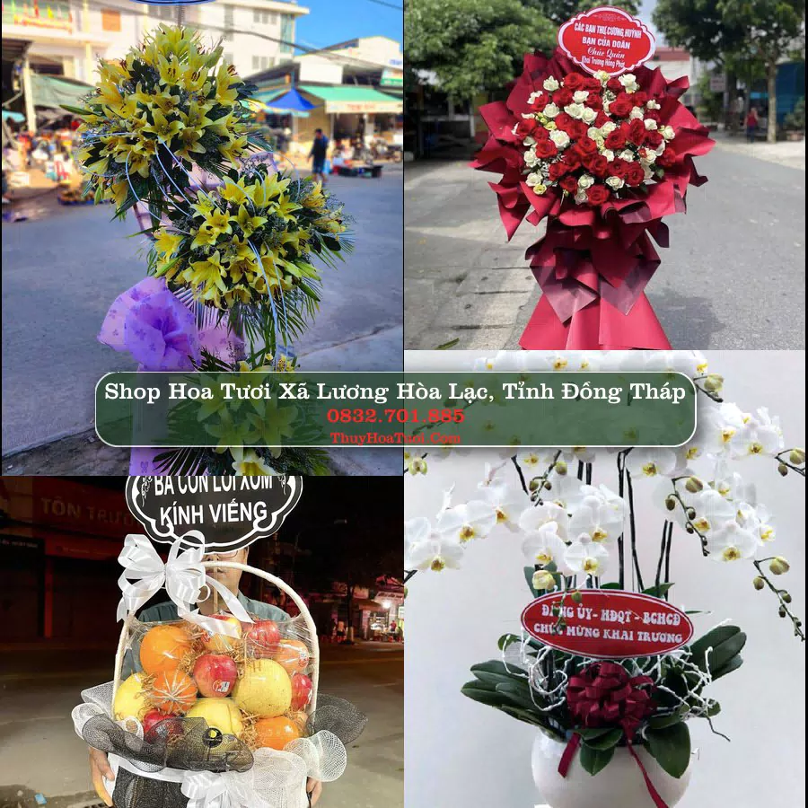 Shop Hoa Tươi Xã Lương Hòa Lạc - Tỉnh Đồng Tháp