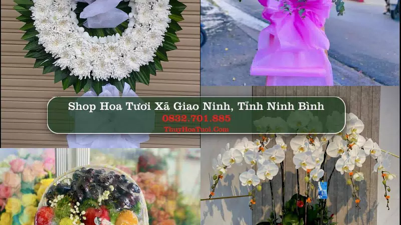 Shop Hoa Tươi Xã Giao Ninh - Tỉnh Ninh Bình