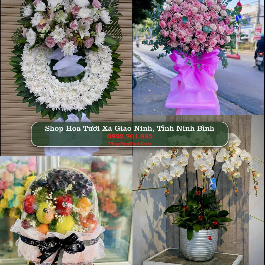 Shop Hoa Tươi Xã Giao Ninh - Tỉnh Ninh Bình