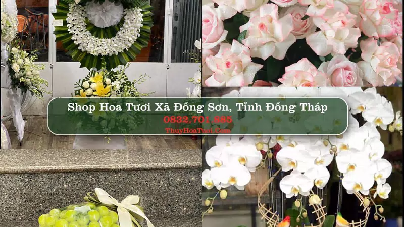 Shop Hoa Tươi Xã Đồng Sơn - Tỉnh Đồng Tháp