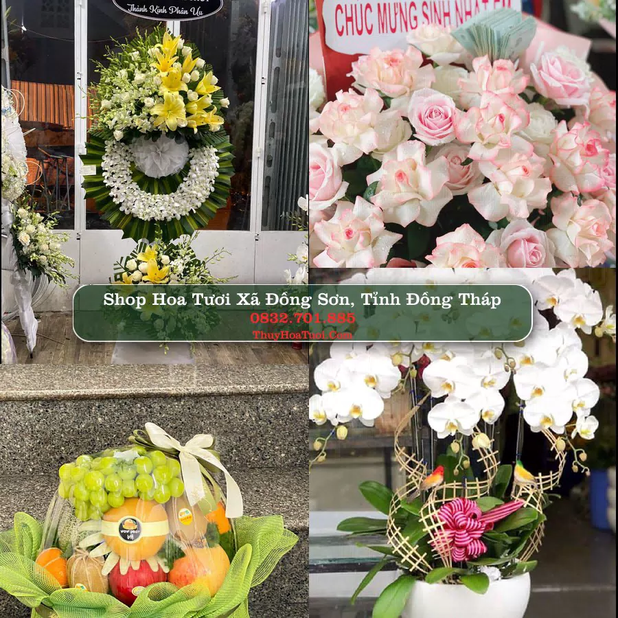 Shop Hoa Tươi Xã Đồng Sơn - Tỉnh Đồng Tháp