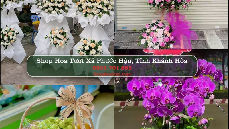 Shop Hoa Tươi Xã Phước Hậu - Tỉnh Khánh Hòa