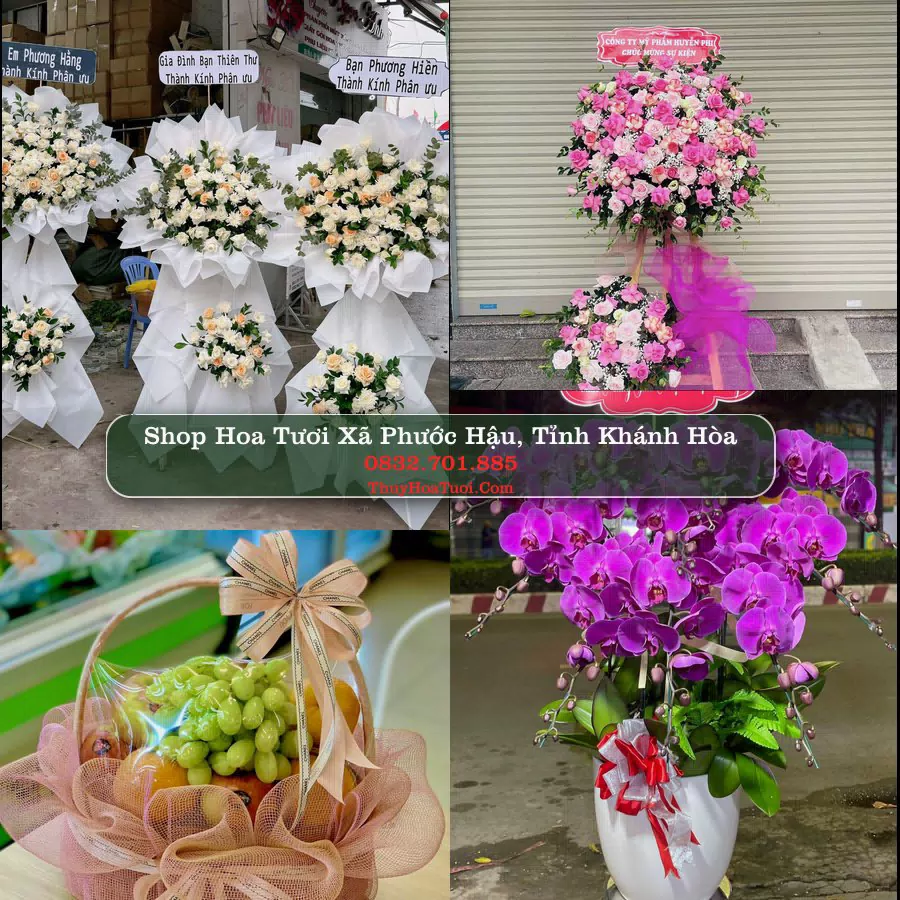 Shop Hoa Tươi Xã Phước Hậu - Tỉnh Khánh Hòa