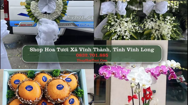 Shop Hoa Tươi Xã Vĩnh Thành - Tỉnh Vĩnh Long