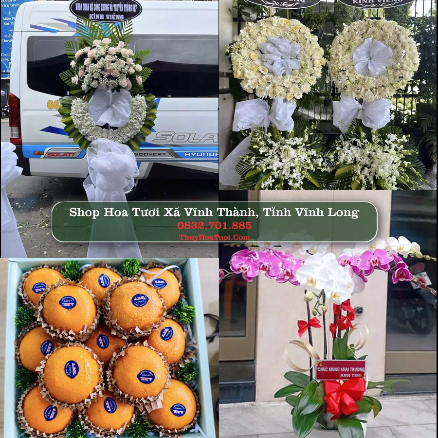 Shop Hoa Tươi Xã Vĩnh Thành - Tỉnh Vĩnh Long