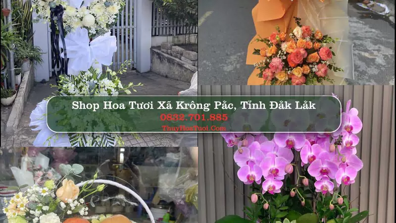 Shop Hoa Tươi Xã Krông Pắc - Tỉnh Đắk Lắk