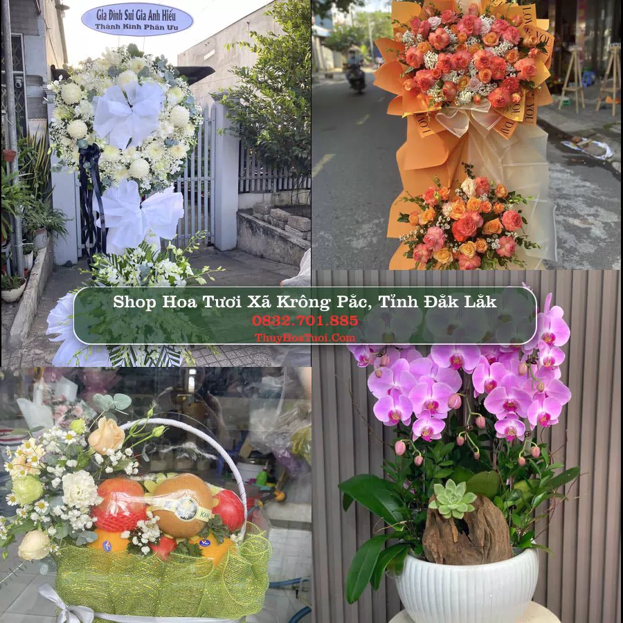 Shop Hoa Tươi Xã Krông Pắc - Tỉnh Đắk Lắk