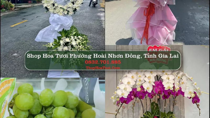 Shop Hoa Tươi Phường Hoài Nhơn Đông - Tỉnh Gia Lai