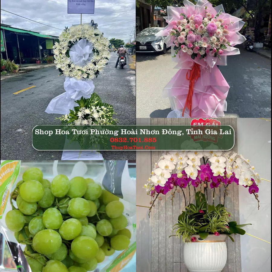 Shop Hoa Tươi Phường Hoài Nhơn Đông - Tỉnh Gia Lai