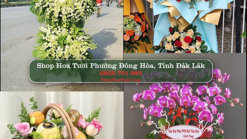 Shop Hoa Tươi Phường Đông Hòa - Tỉnh Đắk Lắk