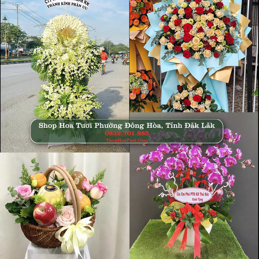 Shop Hoa Tươi Phường Đông Hòa - Tỉnh Đắk Lắk