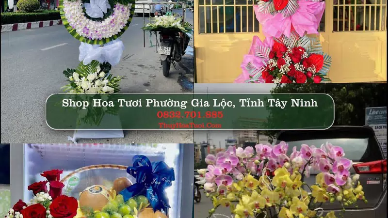 Shop Hoa Tươi Phường Gia Lộc - Tỉnh Tây Ninh