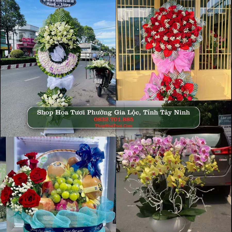 Shop Hoa Tươi Phường Gia Lộc - Tỉnh Tây Ninh