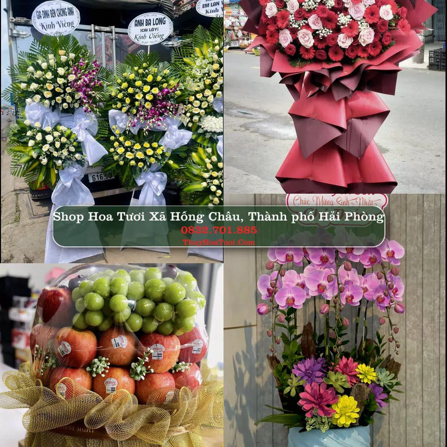 Shop Hoa Tươi Xã Hồng Châu - Thành phố Hải Phòng