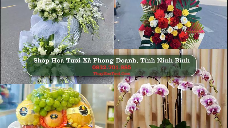 Shop Hoa Tươi Xã Phong Doanh - Tỉnh Ninh Bình