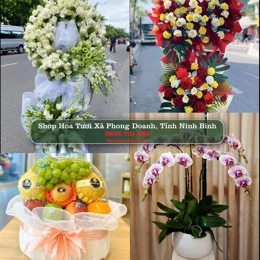 Shop Hoa Tươi Xã Phong Doanh - Tỉnh Ninh Bình