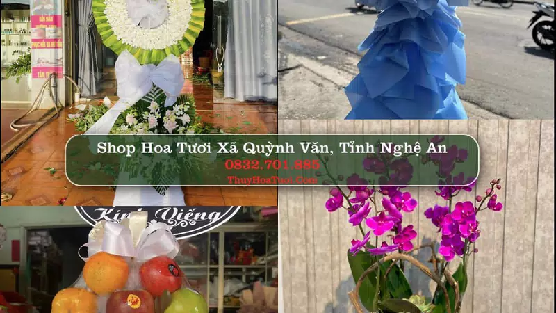 Shop Hoa Tươi Xã Quỳnh Văn - Tỉnh Nghệ An