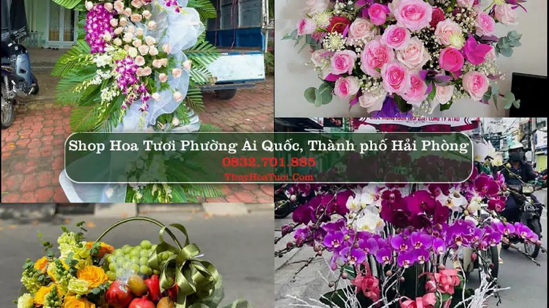 Shop Hoa Tươi Phường Ái Quốc - Thành phố Hải Phòng