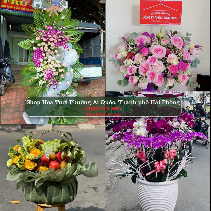 Shop Hoa Tươi Phường Ái Quốc - Thành phố Hải Phòng