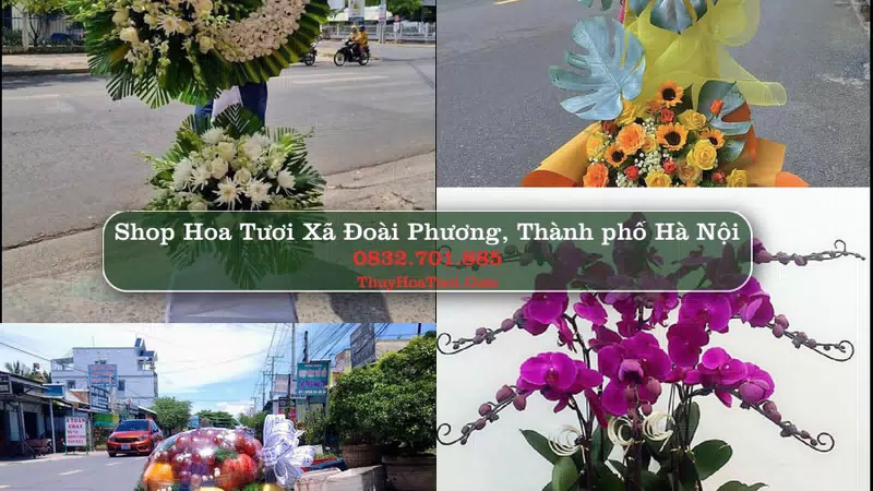 Shop Hoa Tươi Xã Đoài Phương - Thành phố Hà Nội