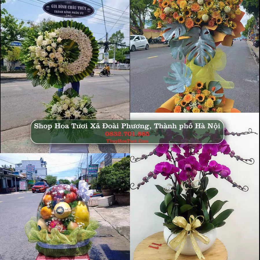 Shop Hoa Tươi Xã Đoài Phương - Thành phố Hà Nội
