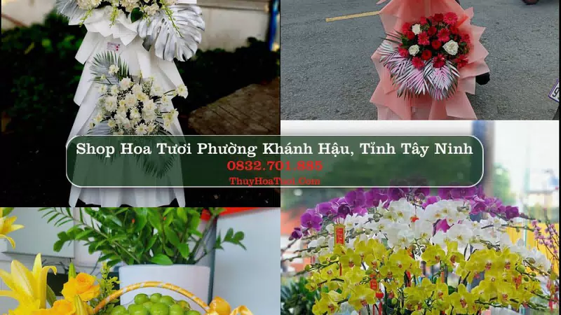 Shop Hoa Tươi Phường Khánh Hậu - Tỉnh Tây Ninh