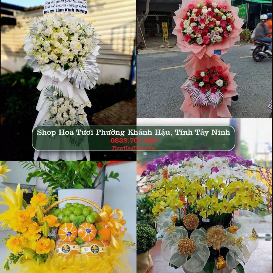 Shop Hoa Tươi Phường Khánh Hậu - Tỉnh Tây Ninh