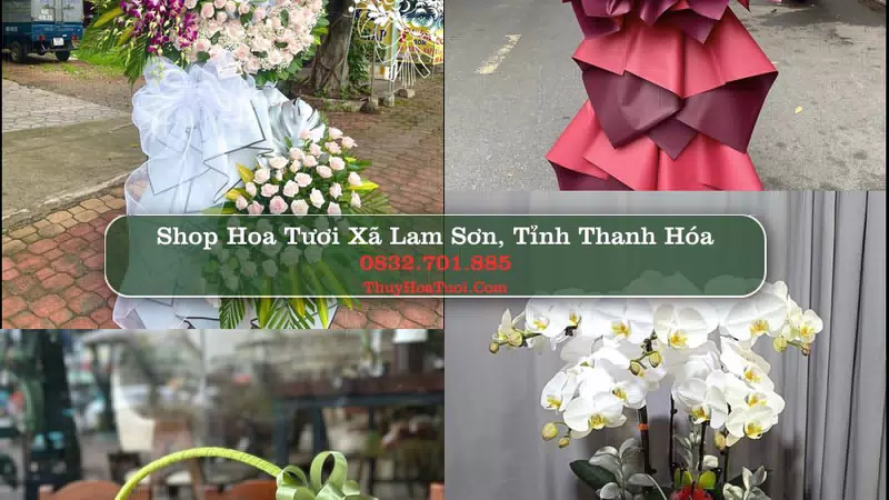Shop Hoa Tươi Xã Lam Sơn - Tỉnh Thanh Hóa
