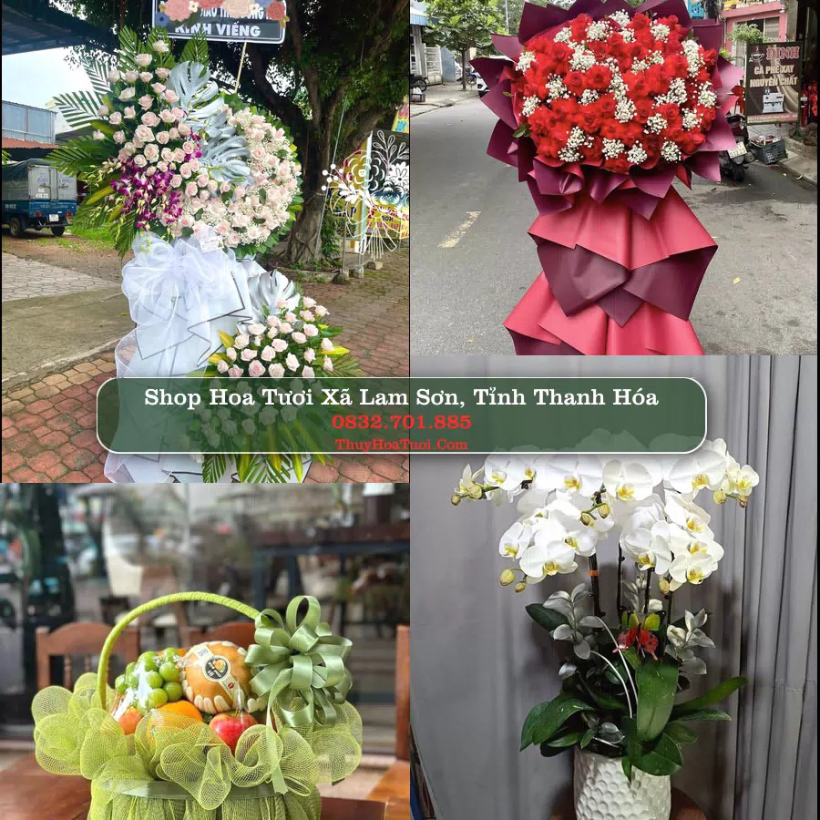 Shop Hoa Tươi Xã Lam Sơn - Tỉnh Thanh Hóa