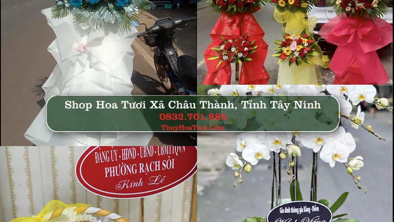 Shop Hoa Tươi Xã Châu Thành - Tỉnh Tây Ninh