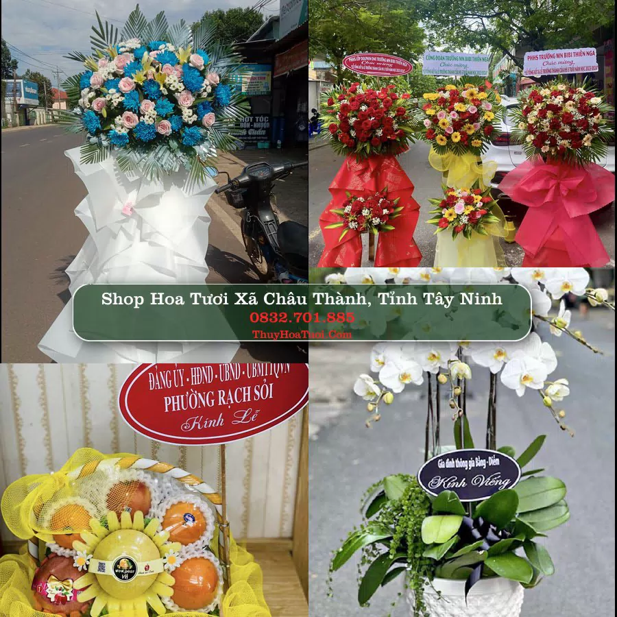 Shop Hoa Tươi Xã Châu Thành - Tỉnh Tây Ninh