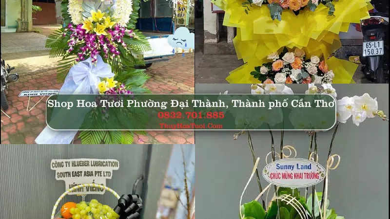 Shop Hoa Tươi Phường Đại Thành - Thành phố Cần Thơ