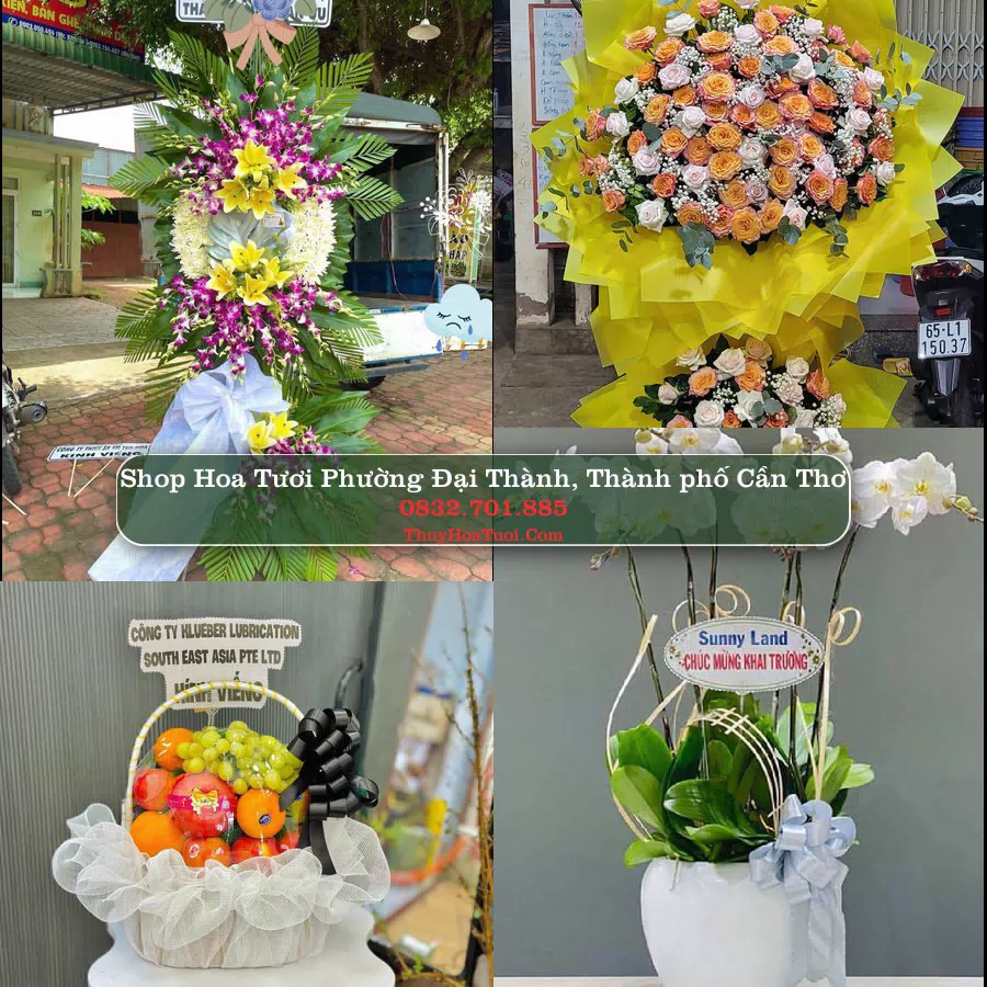 Shop Hoa Tươi Phường Đại Thành - Thành phố Cần Thơ