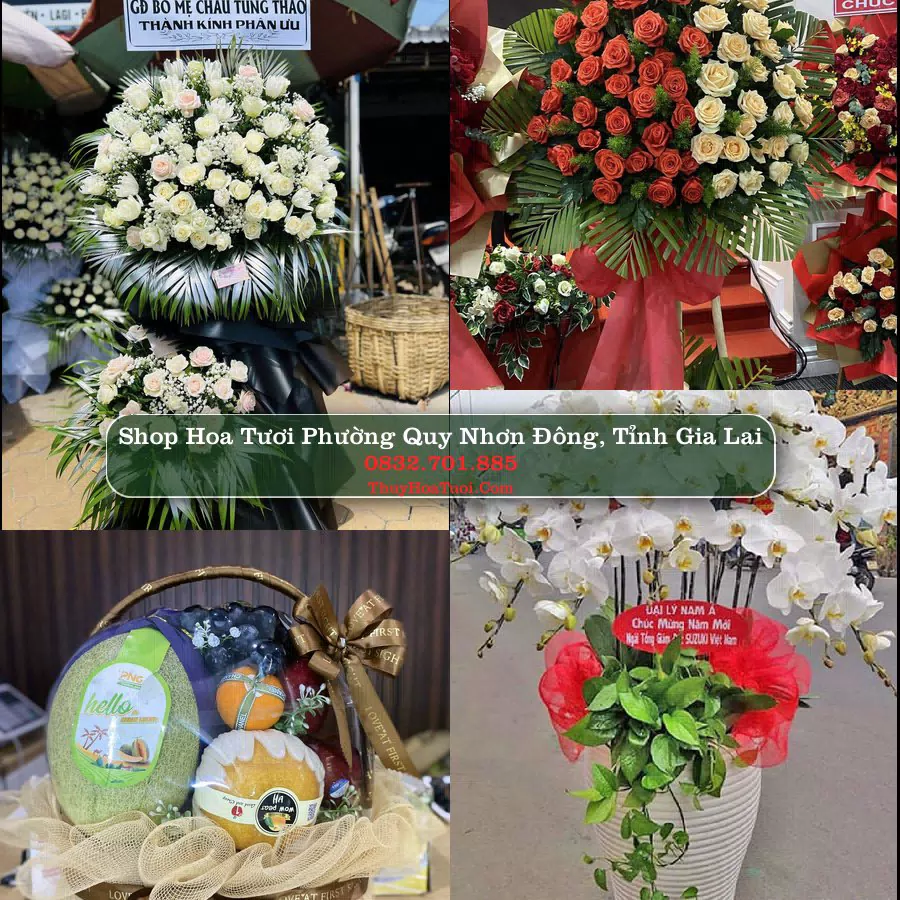 Shop Hoa Tươi Phường Quy Nhơn Đông - Tỉnh Gia Lai