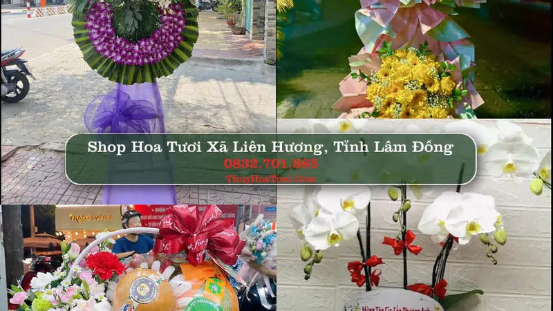 Shop Hoa Tươi Xã Liên Hương - Tỉnh Lâm Đồng