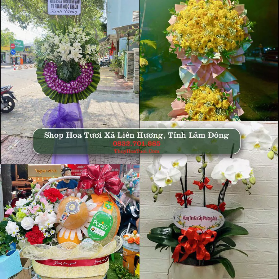 Shop Hoa Tươi Xã Liên Hương - Tỉnh Lâm Đồng