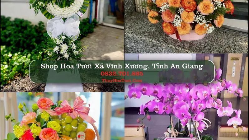 Shop Hoa Tươi Xã Vĩnh Xương - Tỉnh An Giang