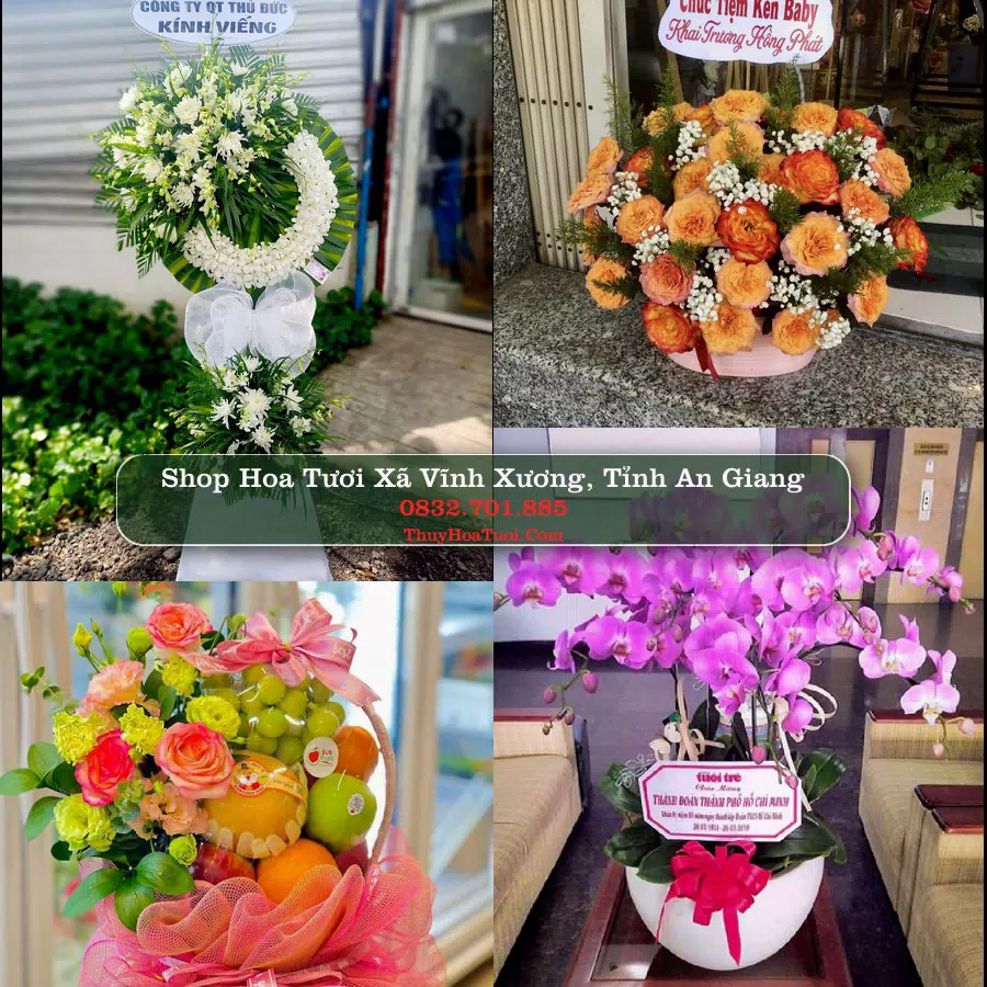 Shop Hoa Tươi Xã Vĩnh Xương - Tỉnh An Giang