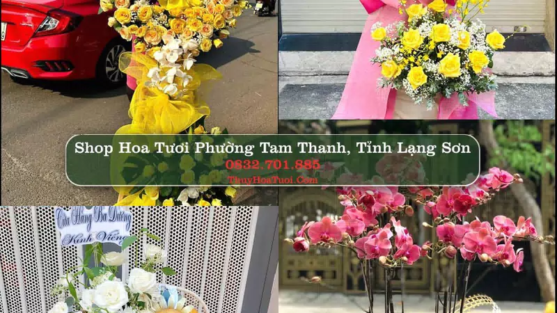 Shop Hoa Tươi Phường Tam Thanh - Tỉnh Lạng Sơn