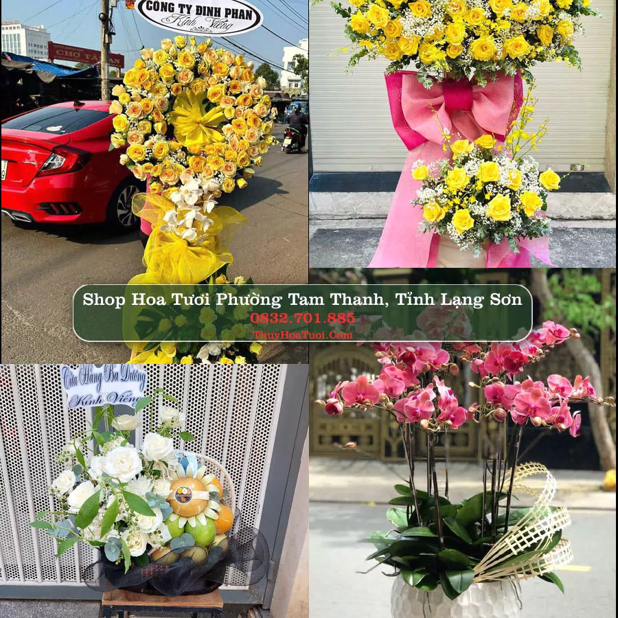 Shop Hoa Tươi Phường Tam Thanh - Tỉnh Lạng Sơn