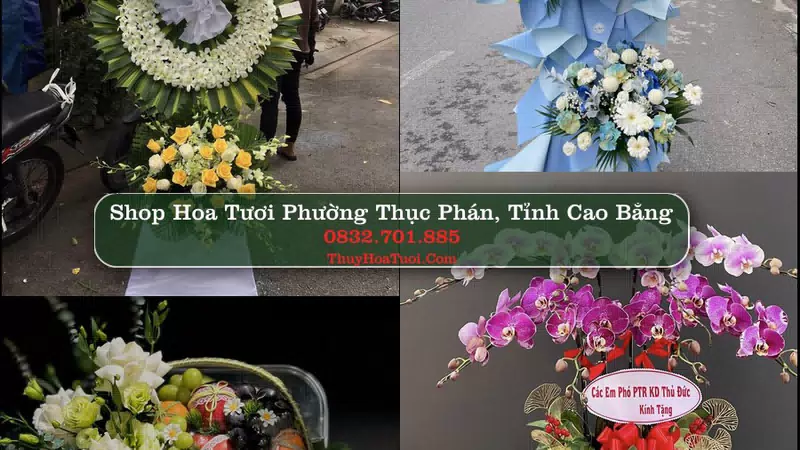 Shop Hoa Tươi Phường Thục Phán - Tỉnh Cao Bằng