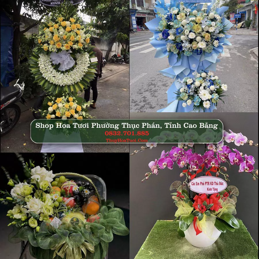 Shop Hoa Tươi Phường Thục Phán - Tỉnh Cao Bằng
